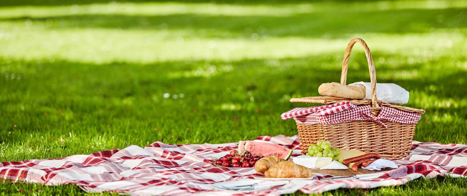 Picknick-Ideen Header